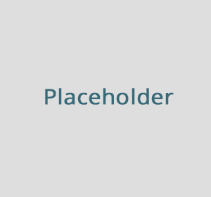 placeholder text